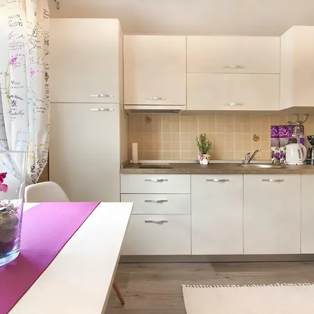 Apartment Mila